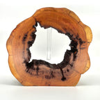 "tree slice vase" Zwetschge - daskuechenholz