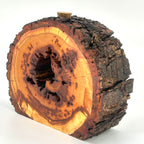 "tree slice vase" Zwetschge  "klein mit rinde" - daskuechenholz